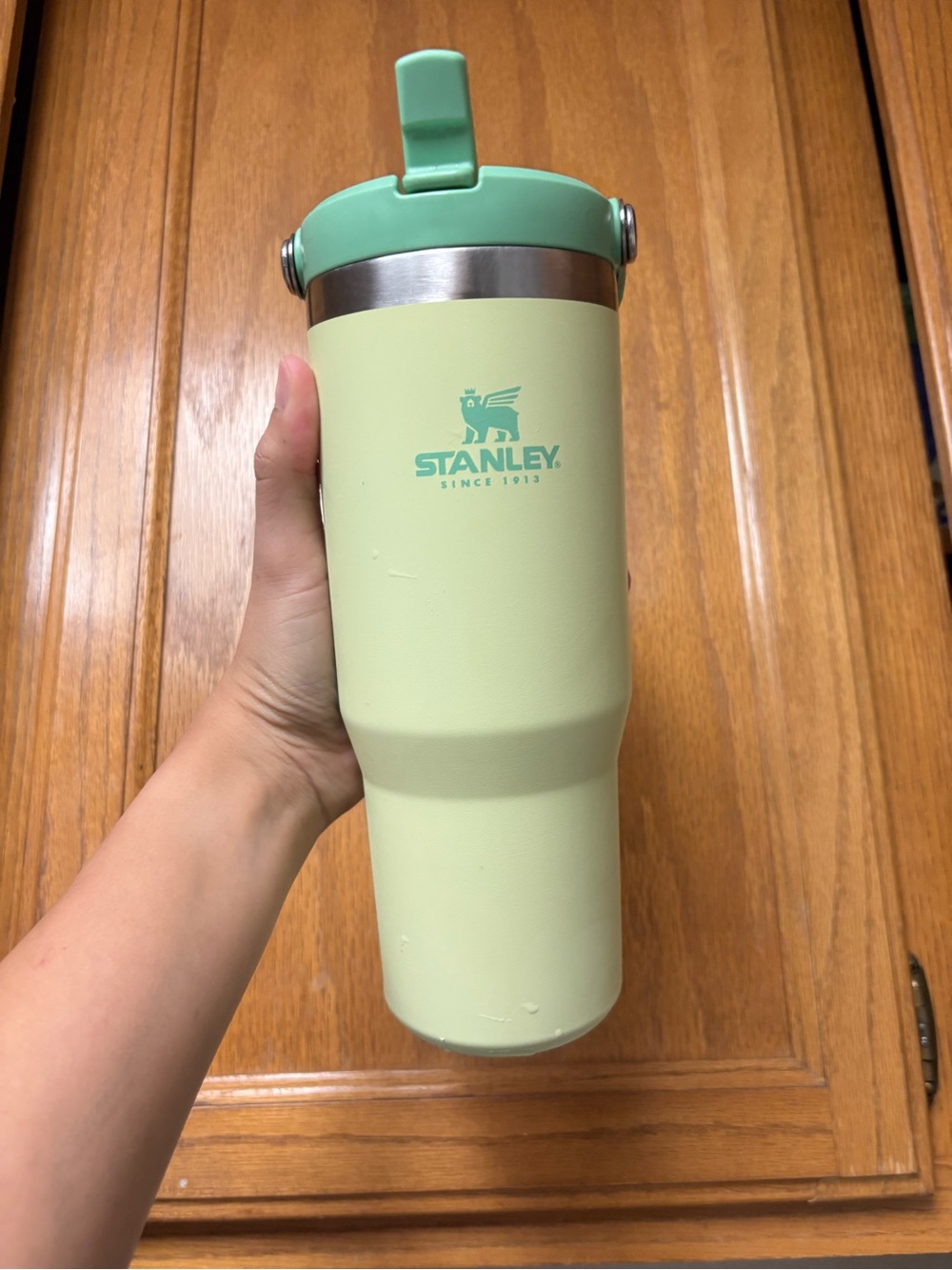 30 oz. Stanley Mint Green Travel Mug with Flip Lid